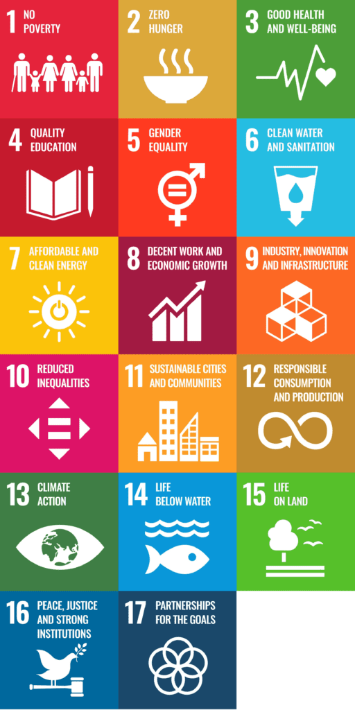 UN SDGs